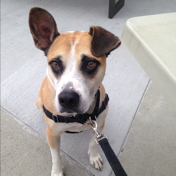 Meet your Posher, Beth - Picture 1 of 1